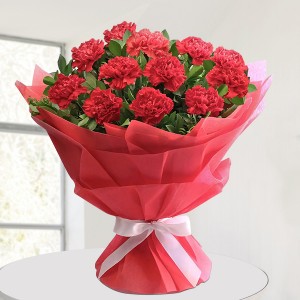 Red Carnation Vase